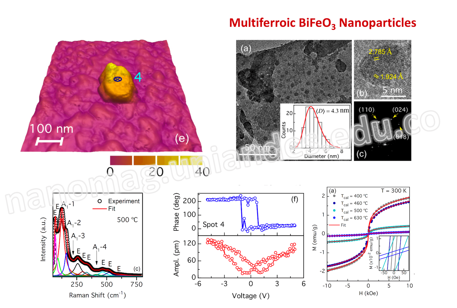 Multiferroic BiFeO₃ nanoparticles imaged by electron microscopy